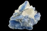 Vibrant Blue Kyanite Crystals In Quartz - Brazil #118849-1